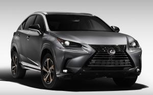 Lexus NX300 Black Line 2019 года